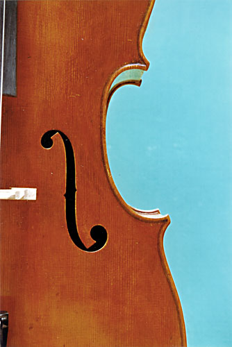 Violoncello - Matteo Gofriller, 2001