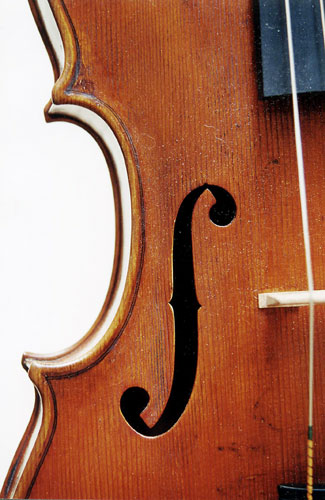 Viola - Gio Paolo Maggini 420mm, 2001