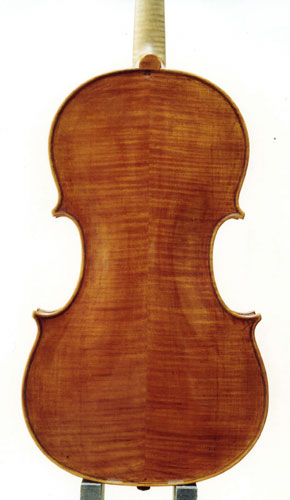 Viola - Francesco Mantegazza 408mm, 2003