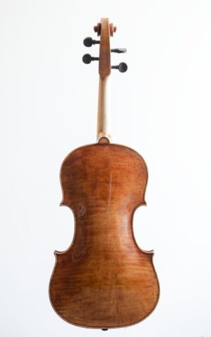 252 viola pellegrino 10