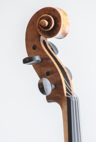 252 viola pellegrino 14