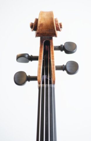 252 viola pellegrino 16