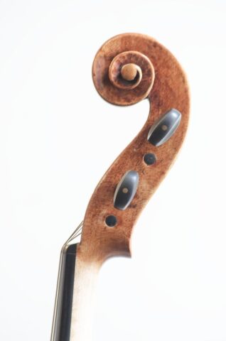 252 viola pellegrino 17