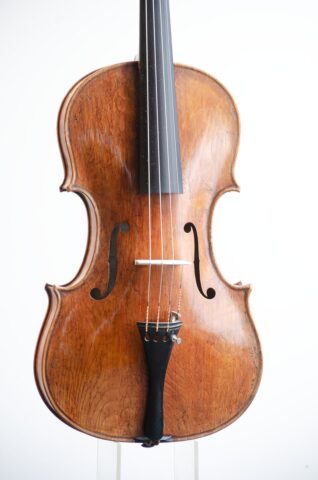 252 viola pellegrino 5