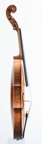 252 viola pellegrino 9